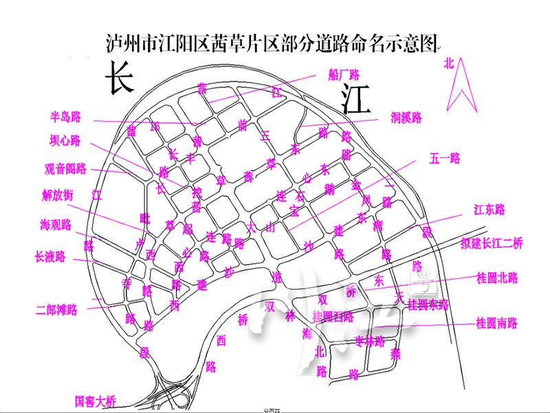 盐亭市张建民先生最新动态揭晓