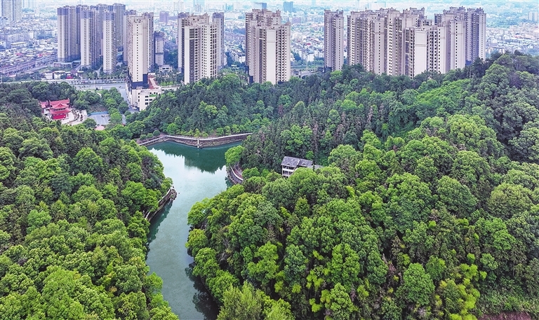 焕新亮相的东莞同沙生态公园，绿意盎然，生机勃勃