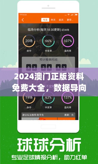 新澳2024正版资料免费大全,经典说明解析_特别集W54.989