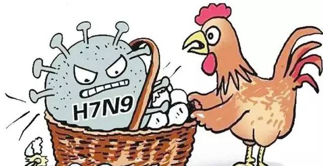 最新H7N9禽流感疫情动态报告揭晓