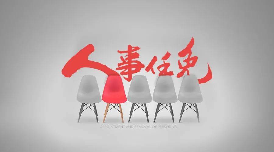 夹江最新人事动态：干部任命与调整一览